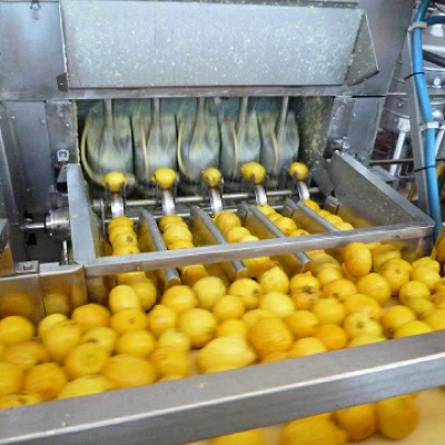 有機JAS ビオカ 有機レモンストレート 果汁100% 700ml