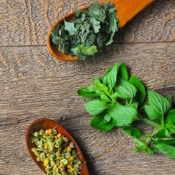 AKプラス 国立薬膳カレー ビーフカレー 30種類のスパイス＆ハーブ 200g