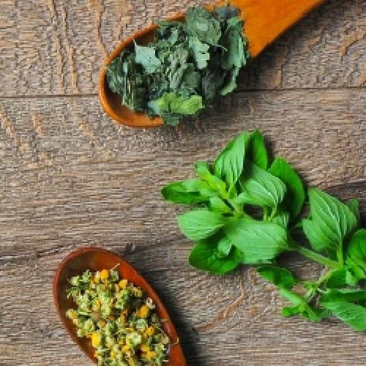 AKプラス 国立薬膳カレー ビーフカレー 30種類のスパイス＆ハーブ 200g