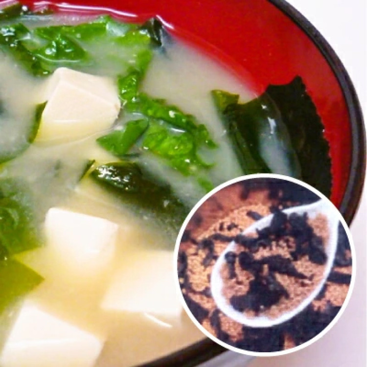 かねさ 備蓄 顆粒みそ汁 わかめ 約25杯分 189g インスタント みそ汁