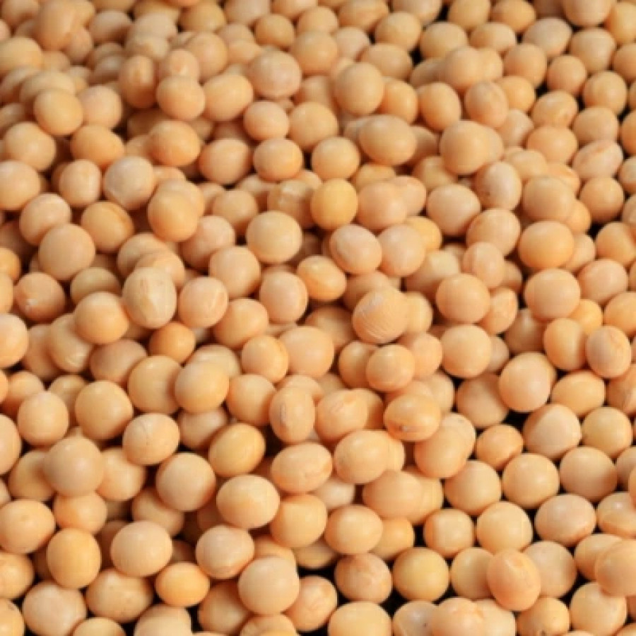 国産特別栽培原料 消費者御用蔵 玄米味噌 1kg ヤマキ醸造