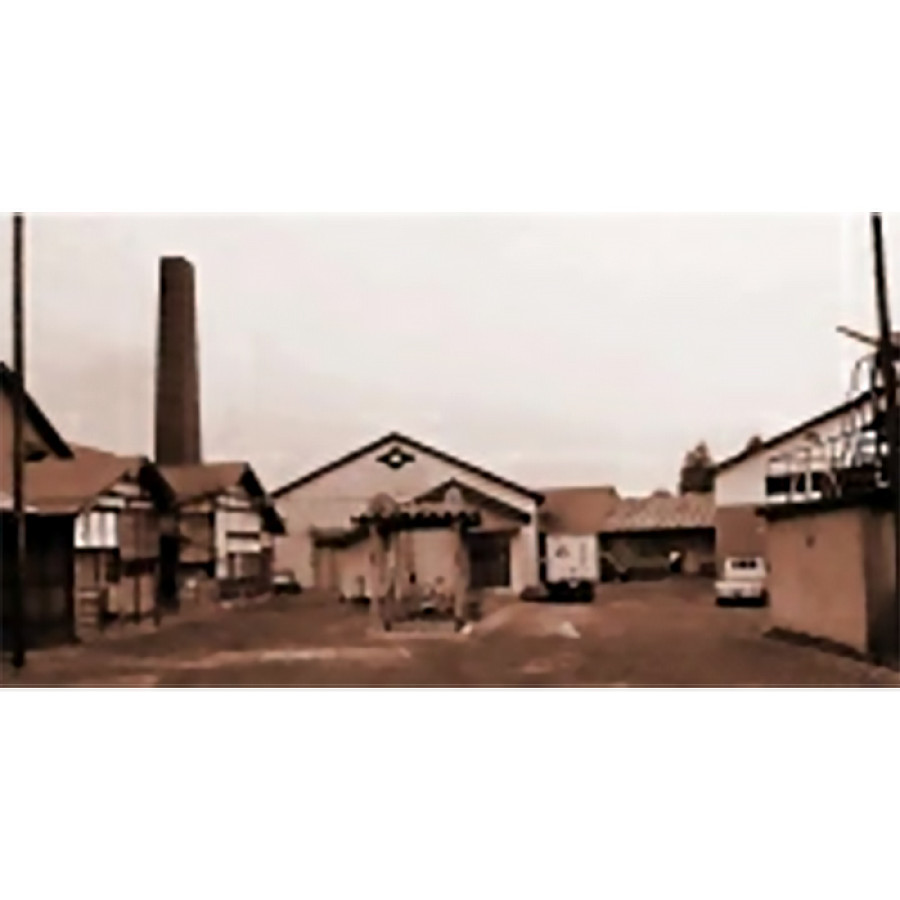 イゲタ醤油 彩 1000ml (1L)【イゲタ 醤油 しょうゆ 出汁しょうゆ】