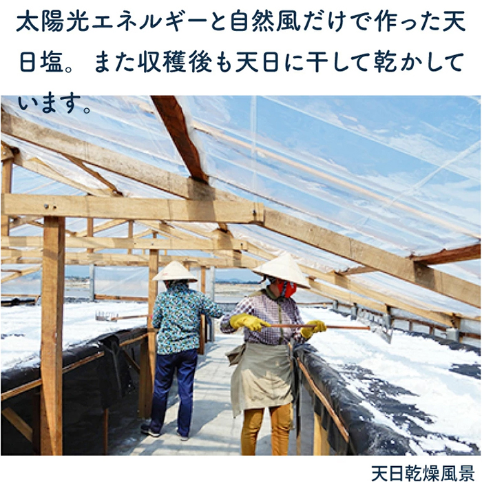 カンホアの塩 石臼挽き 20kg [業務用]