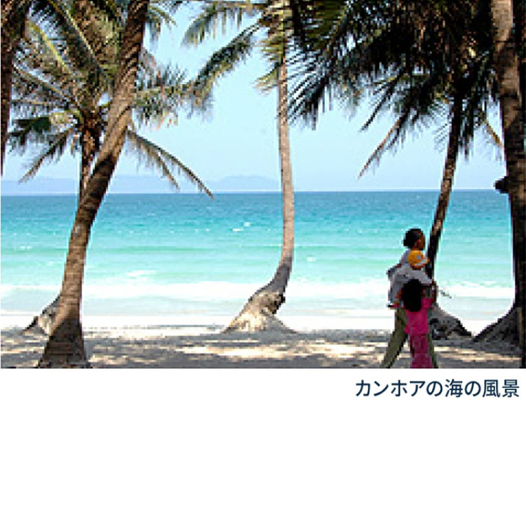 カンホアの塩 石臼挽き 20kg [業務用]