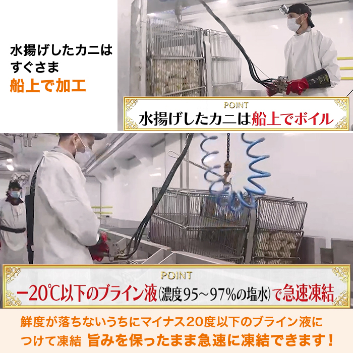 築地蟹商 特大ボイルタラバ シュリンク1肩 7Lサイズ