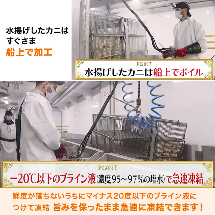 築地蟹商 特大ボイルタラバ シュリンク1肩 7Lサイズ