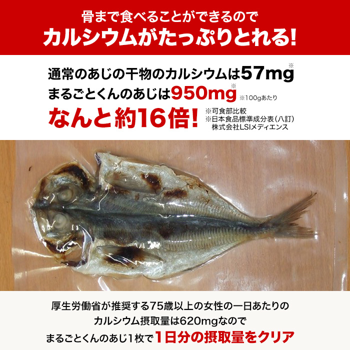 骨まで食べられる焼き魚 まるごとくん 9枚セット
