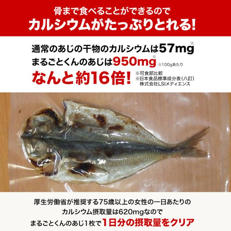 骨まで食べられる焼き魚 まるごとくん 9枚セット