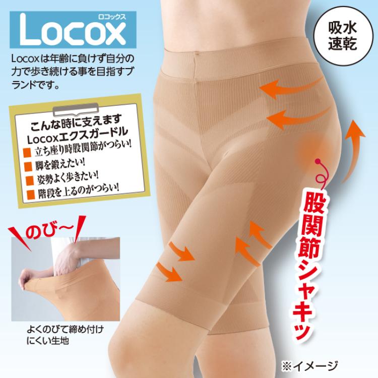 ＜Locox＞はくだけエクスガードル 3枚組(同色同サイズ)