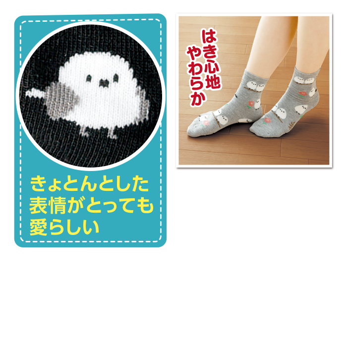 シマエナガ靴下4色8足組