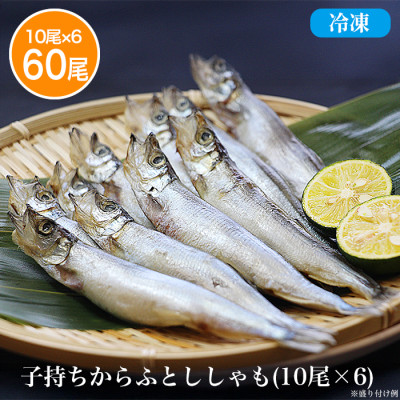 訳あり!子持ちからふとししゃも60尾(10尾×6)