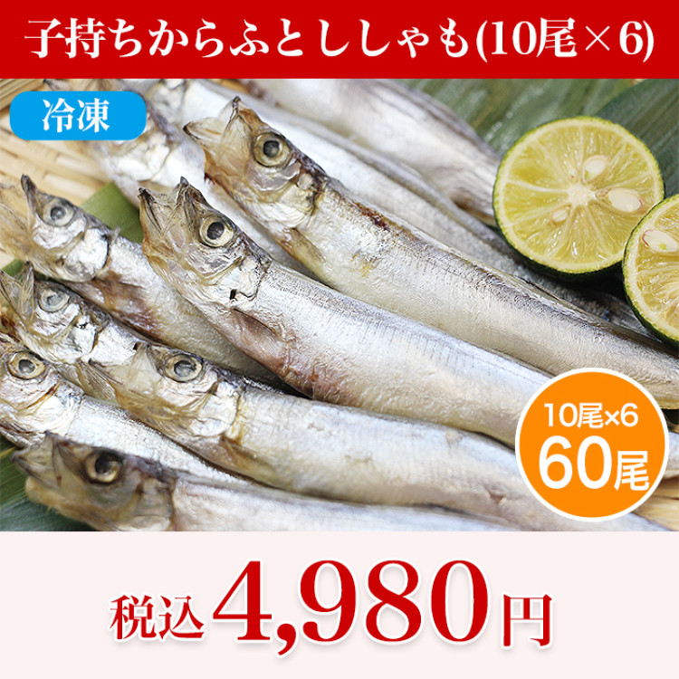 訳あり!子持ちからふとししゃも60尾(10尾&times;6)