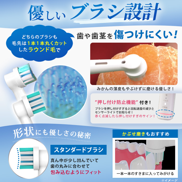 ラウンブラッシュLE 替えブラシ・デンタルクリーム 特別セット