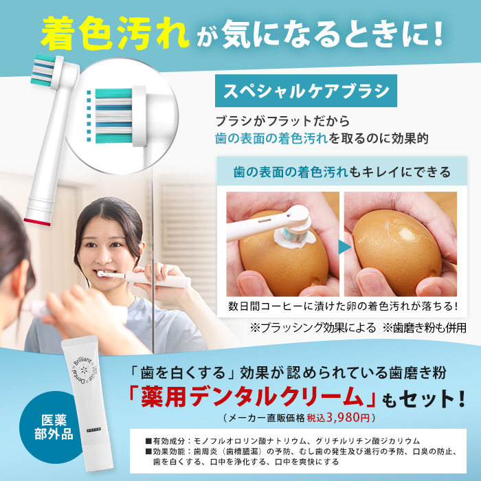 ラウンブラッシュLE 替えブラシ・デンタルクリーム 特別セット