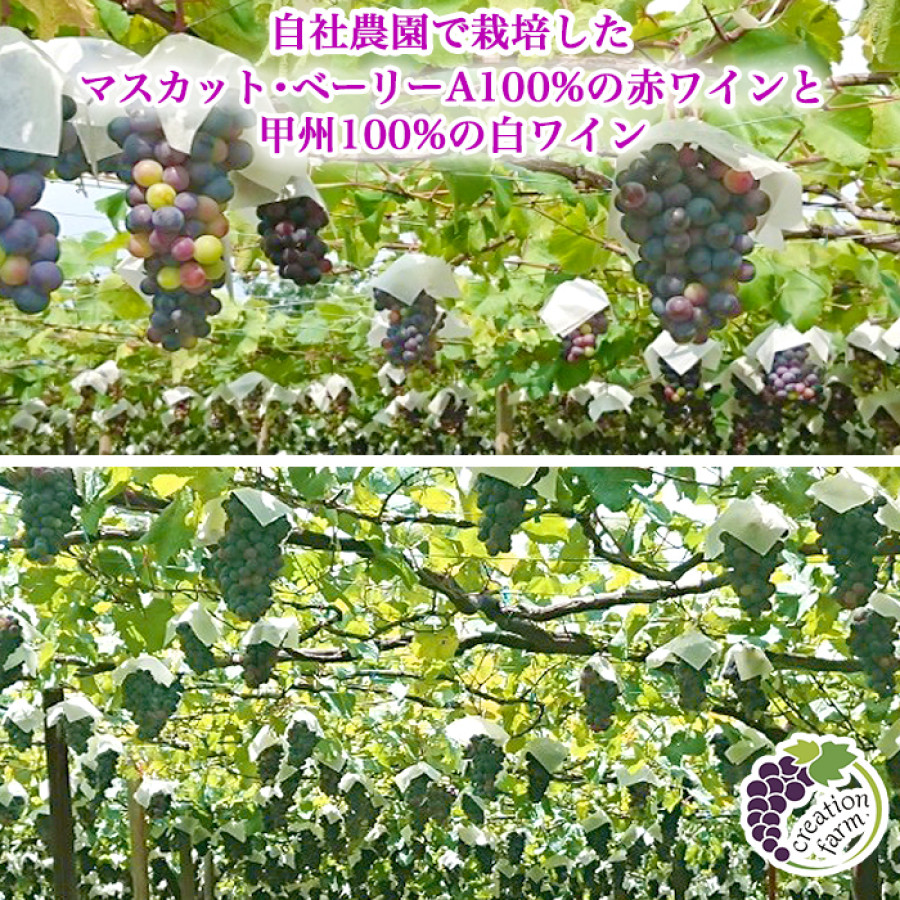 山梨「ドメーヌ クリエーション ファーム自社農園」 樽熟成 赤＆白ワインセット
