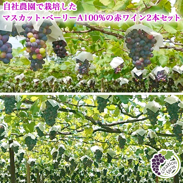 山梨「ドメーヌ クリエーション ファーム自社農園」 樽熟成 赤ワイン2本セット