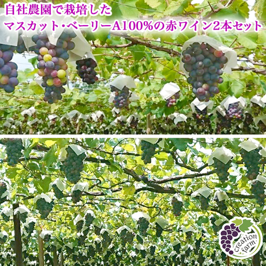 山梨「ドメーヌ クリエーション ファーム自社農園」 樽熟成 赤ワイン2本セット