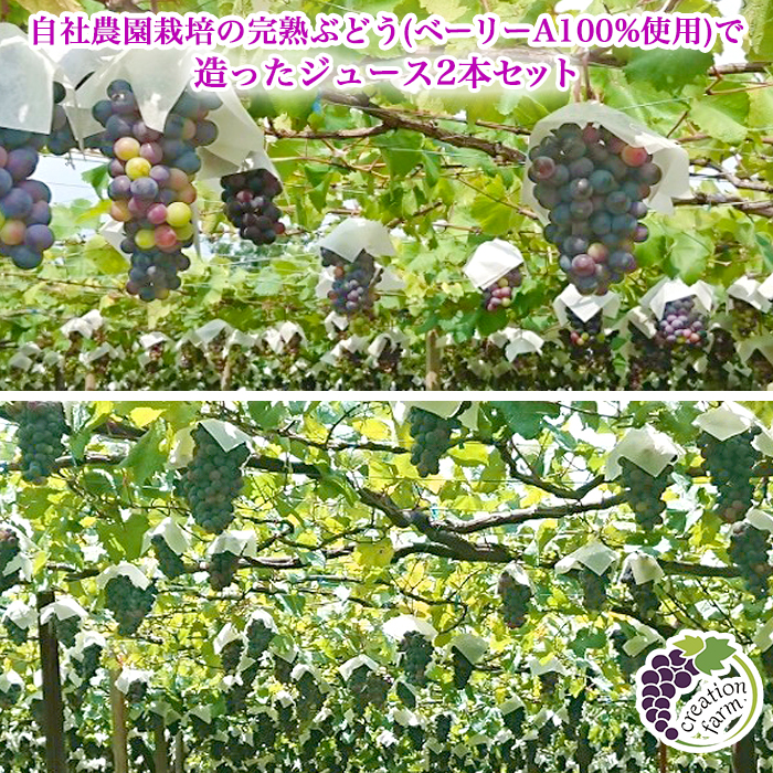 山梨「ドメーヌ クリエーション ファーム自社農園」 ぶどうジュース2本セット