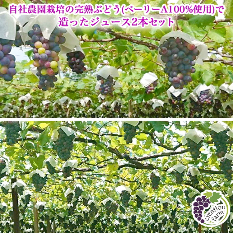 山梨「ドメーヌ クリエーション ファーム自社農園」 ぶどうジュース2本セット