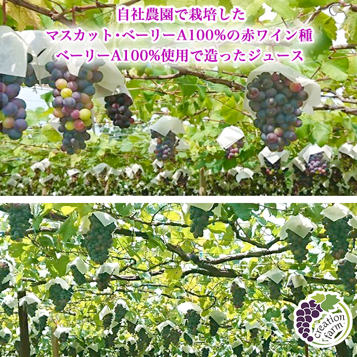 山梨「ドメーヌ クリエーション ファーム自社農園」 ぶどう3兄弟（ワイン2種、ジュース、ヴェルジュ）