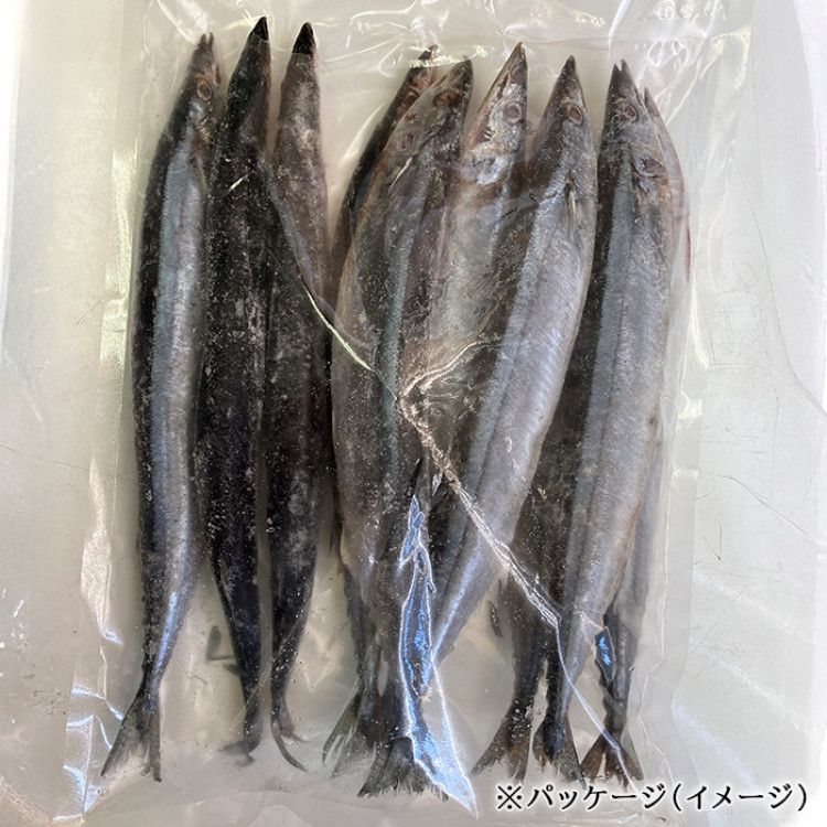 北海道産 冷凍さんま40尾