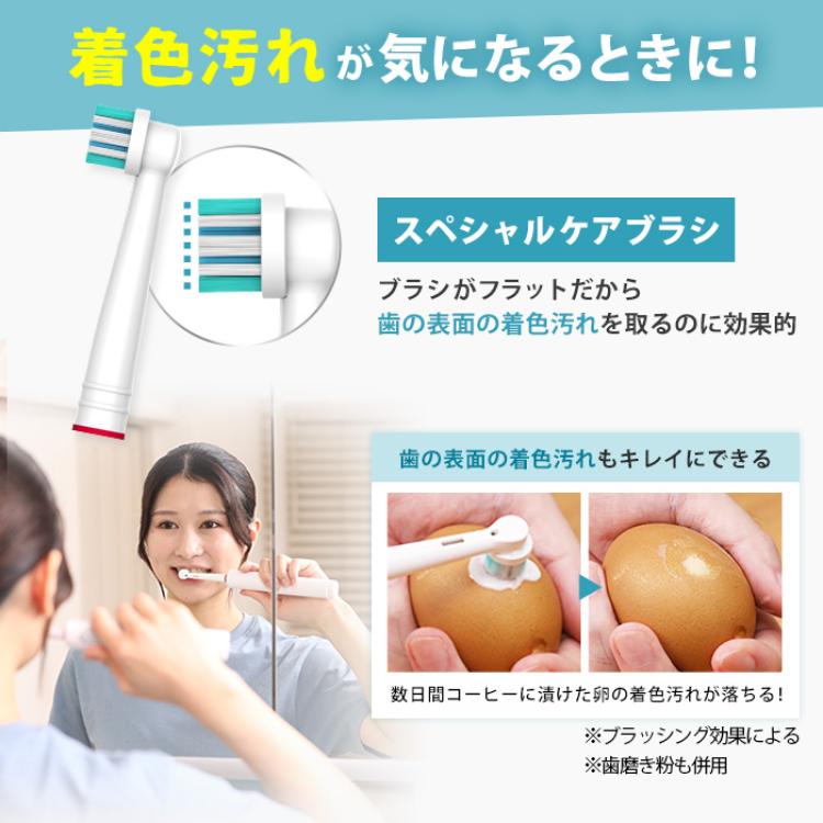 ラウンブラッシュLE