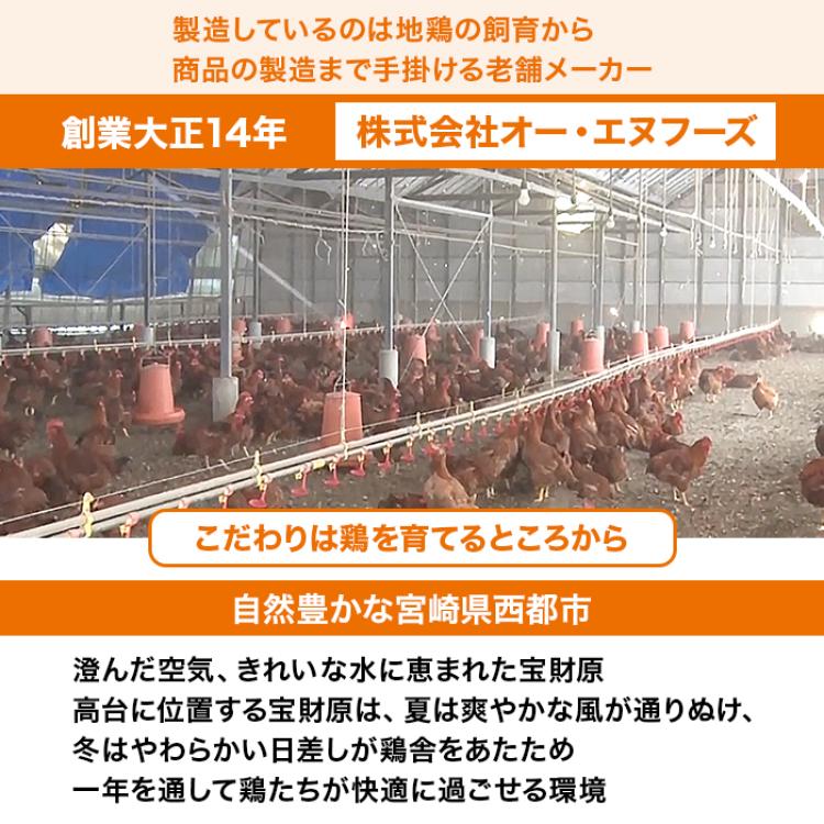 宮崎名物 妻地鶏特別セット