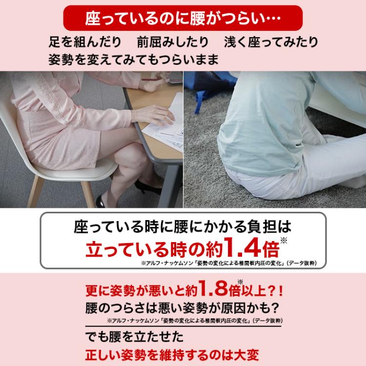 腰ラクサポート カーブルチェア ワイド