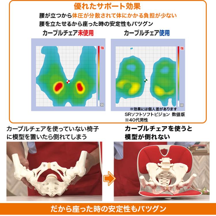 腰ラクサポート カーブルチェア ワイド