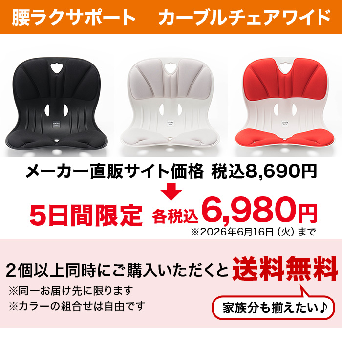 腰ラクサポート カーブルチェア ワイド