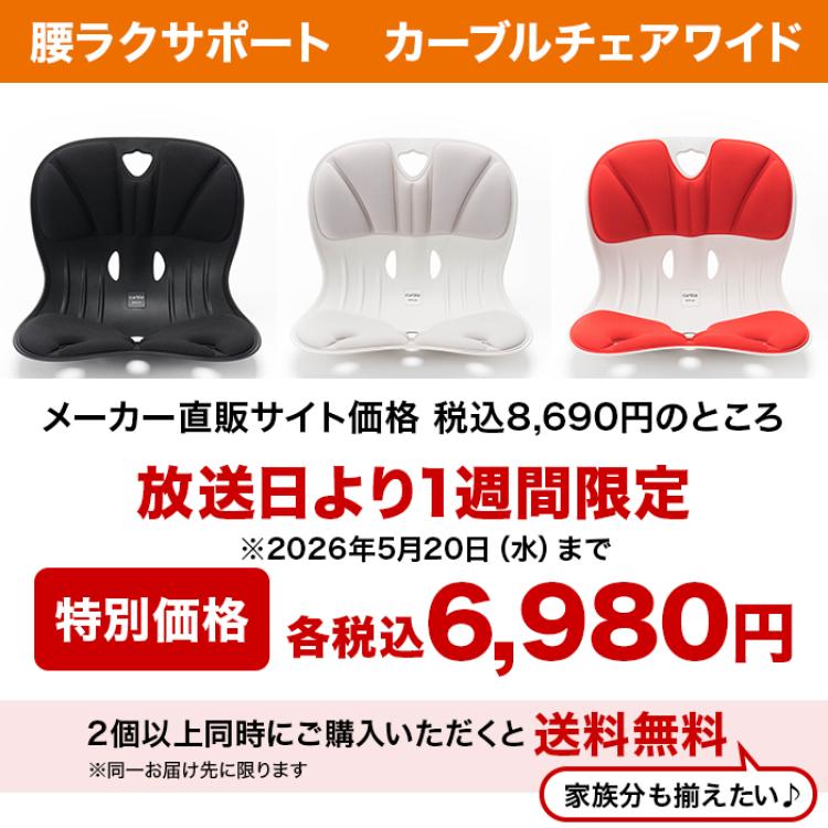 腰ラクサポート カーブルチェア ワイド