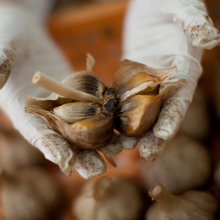 黒にんにく入り MOMIKI 特別セット