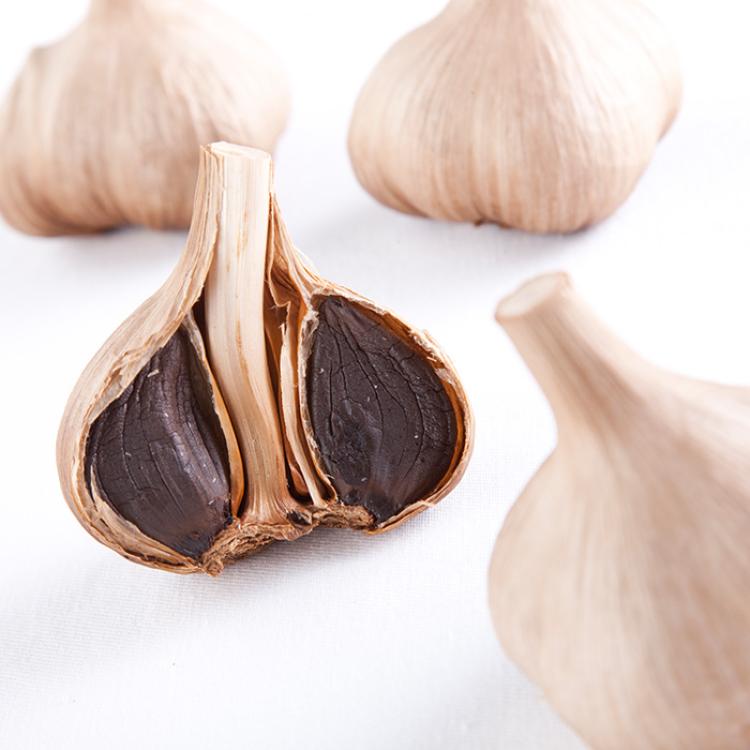 黒にんにく入り MOMIKI 特別セット