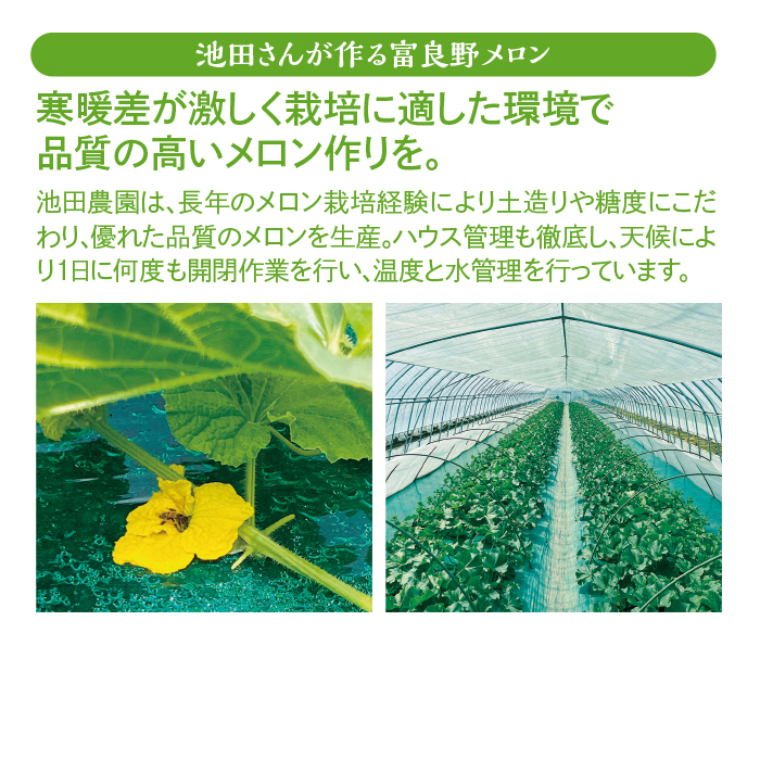 池田さんのふらのメロン 2玉(計約3.4kg)