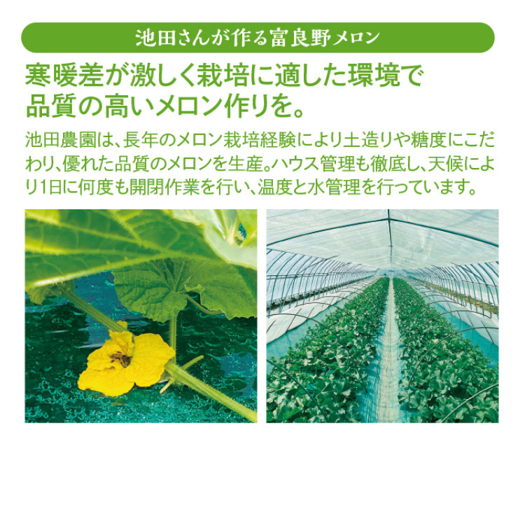 池田さんのふらのメロン 2玉(計約3.4kg)