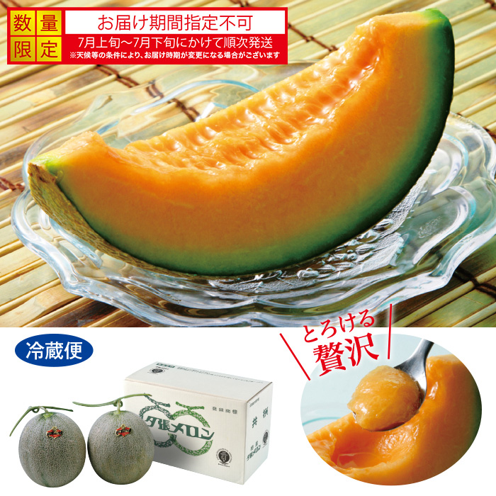 夕張メロン 2玉(計約2.6kg)