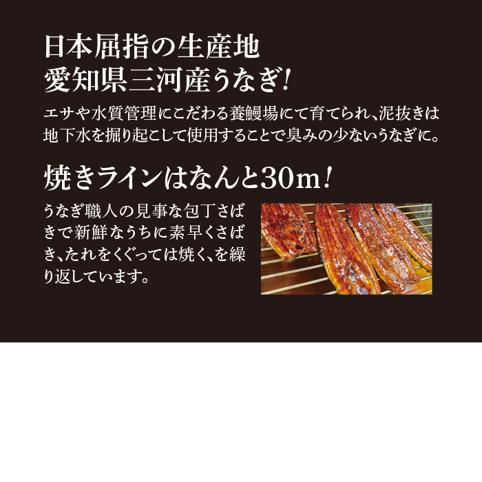 愛知県三河産うなぎ蒲焼180g 1尾