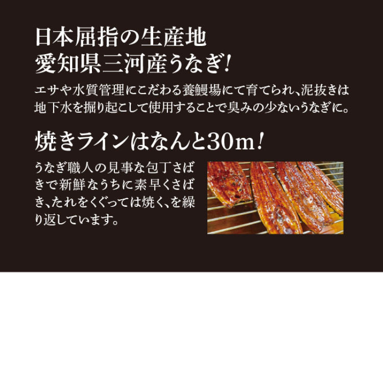 愛知県三河産うなぎ蒲焼180g 5尾