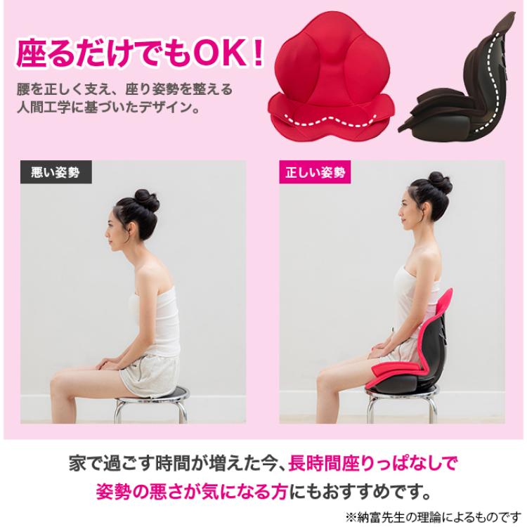 芦屋美整体 骨盤スリムスタイリーエアー