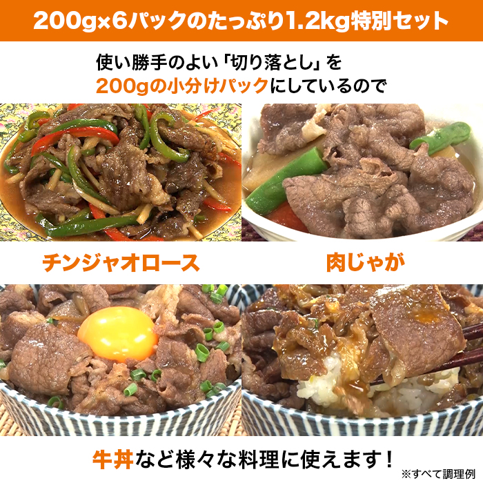 松阪牛切り落とし1.2kg(200g&times;6P)特別セット