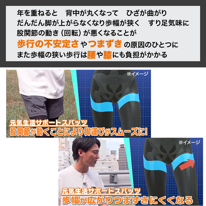 健康づくりトレーナー監修 久野式元気生活サポートスパッツ