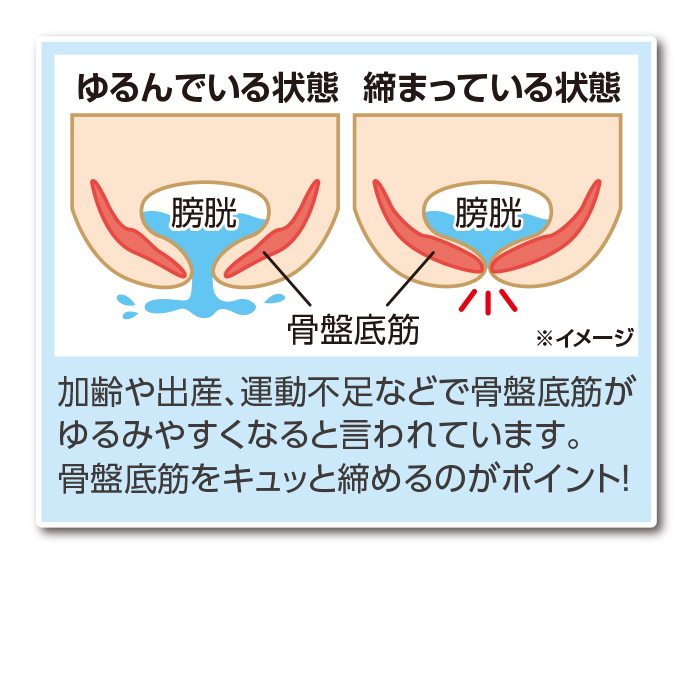 骨盤底筋サポートガードル