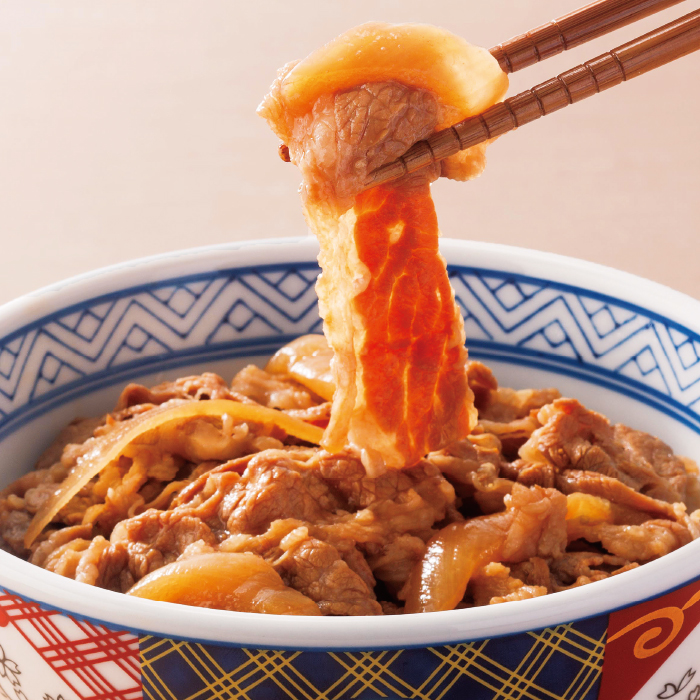 吉野家牛丼の具10食