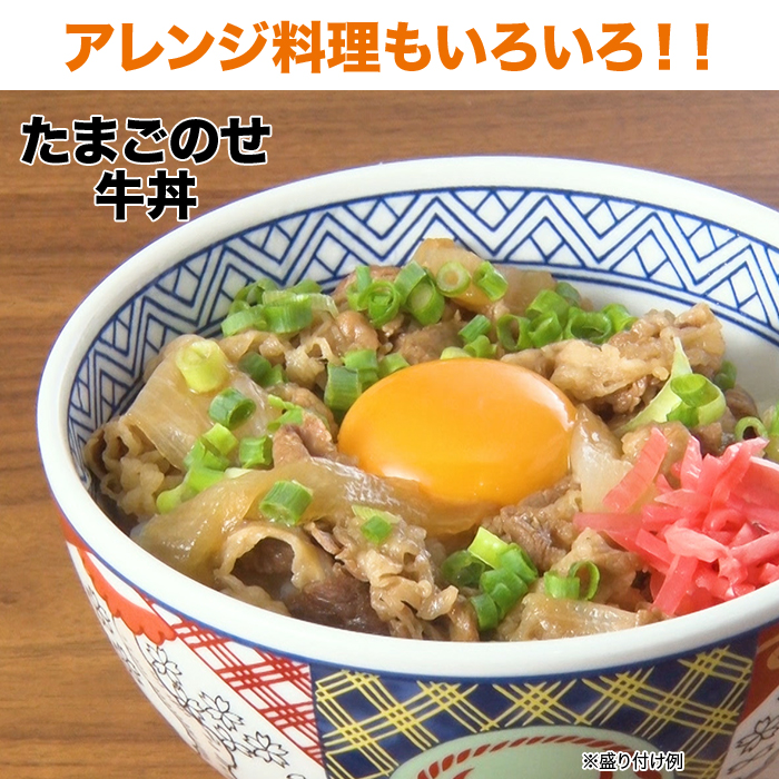 吉野家牛丼の具10食
