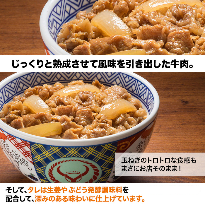 吉野家牛丼の具40食