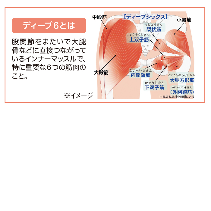 座って股関節ケア!理学療法士監修 ほぐせるクッション「ディープ6」