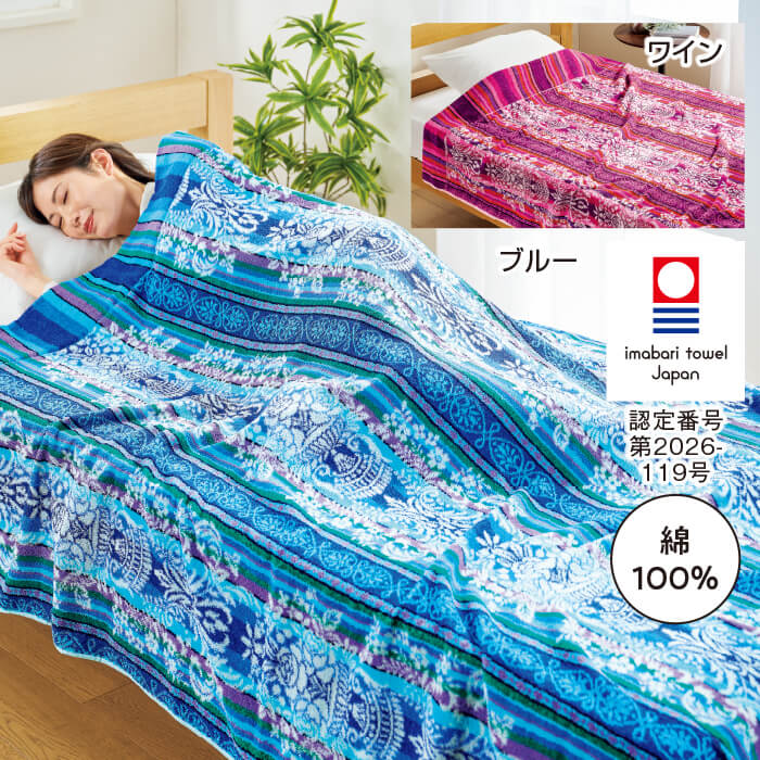 今治タオルブランド付きボリュームタオルケット2色組