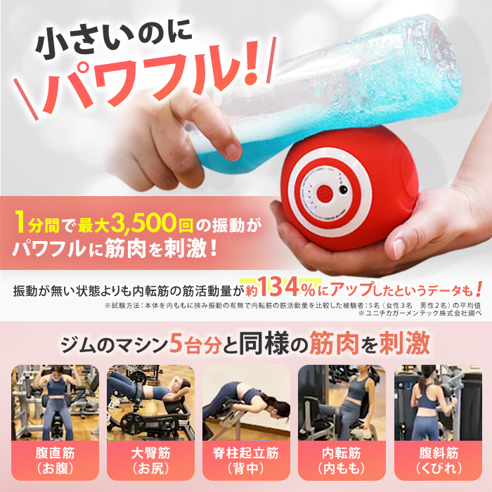 ルネサンス スポーツクラブがつくったスタイリーボール