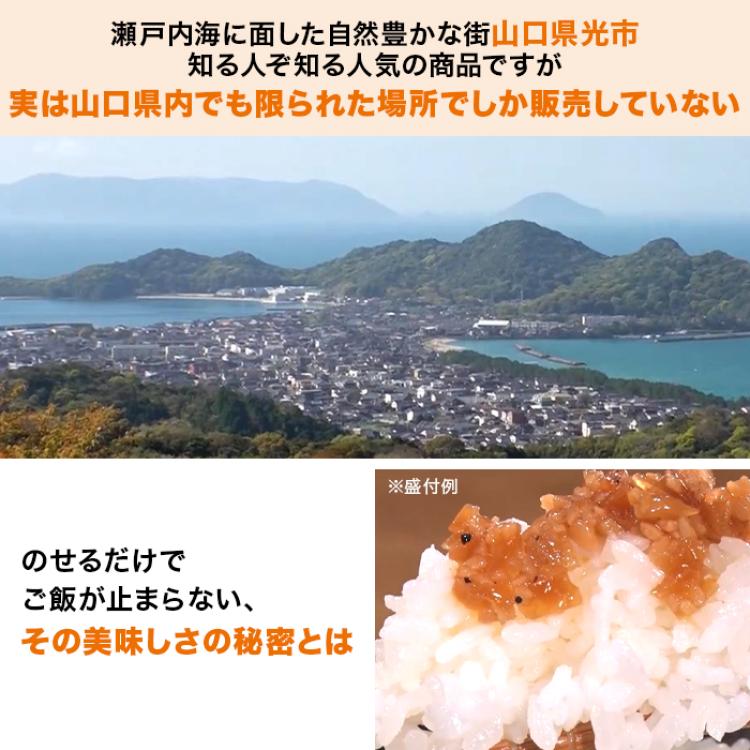 のせのせシリーズ バラエティセット