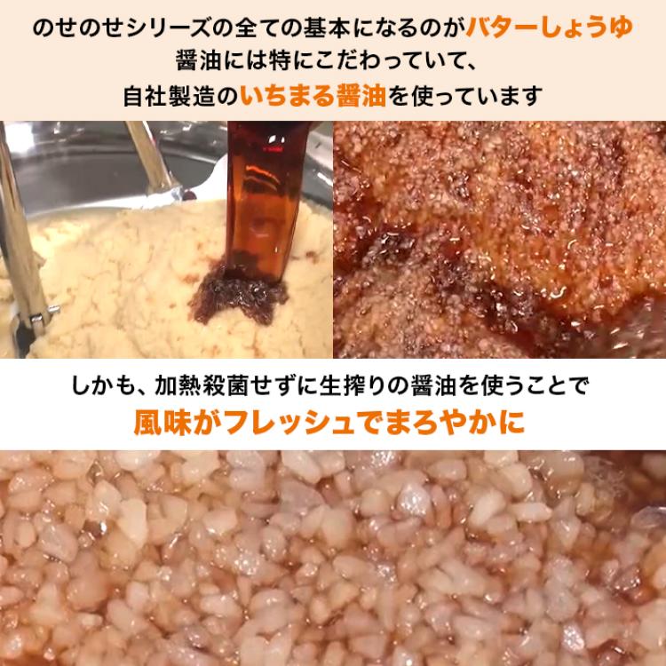 のせのせシリーズ バラエティセット